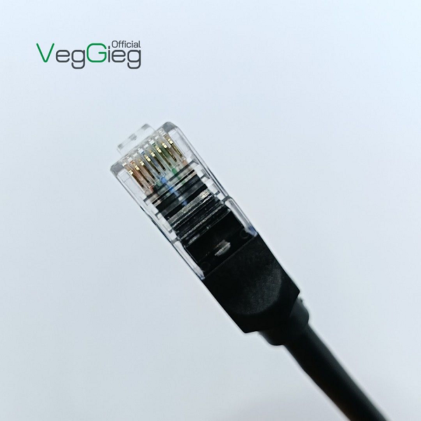 Dây Mạng Bấm Sẵn 2 đầu RJ45 UTP CAT6  VegGieg dài 1M - V-E651 chính hãng