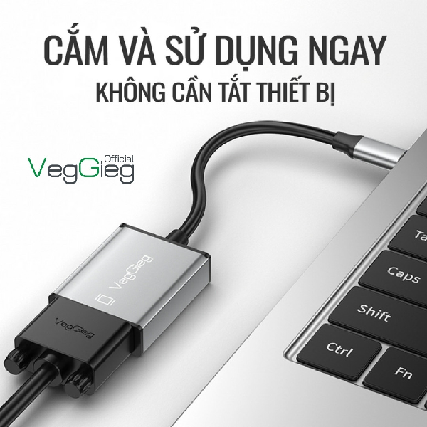 Cáp chuyển đổi Type C 3.1 sang VGA dài 15cm VegGieg - V-Z916