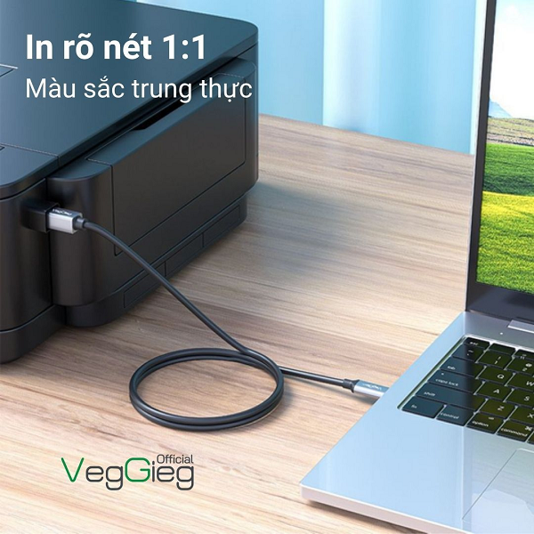 Cáp máy in Type-C VegGieg - V-U404 cao cấp