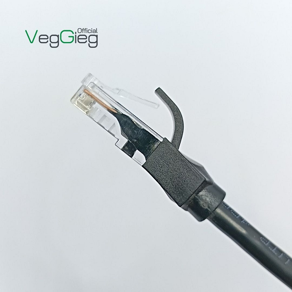 Dây Mạng Bấm Sẵn 2 đầu RJ45 UTP CAT6  VegGieg dài 2M - V-E653 chính hãng