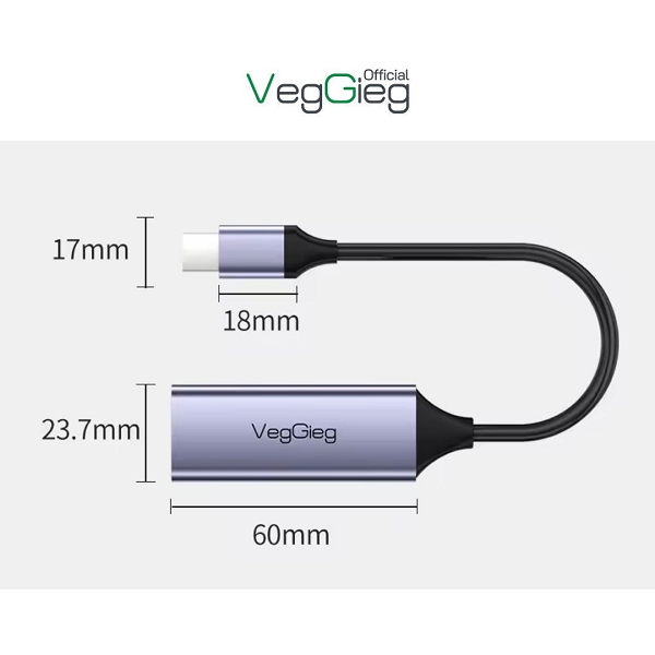 VegGieg V-K309 Cáp Chuyển Type-C 2.0 sang LAN  chính hãng