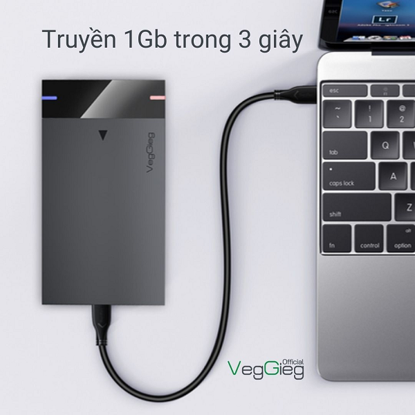 Cáp dữ liệu ổ cứng di động A-MircoB - USB 3.0 VegGieg V-U318 chính hãng