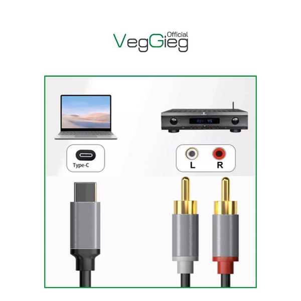 Cáp chuyển đổi VEGGIEG V-A621 TYPE-C ra 2 Audio RCA chính hãng