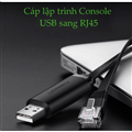 Dây, Cáp lập trình Console USB sang RJ45 FTDI dài 3M Ugreen 60813 cao cấp