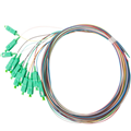 Dây nối quang 12 màu bó mềm SC/APC Simplex 9/125 Single-mode Newlink