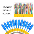 Dây nối quang 12 màu bó mềm SC/UPC Simplex 9/125 Single-mode Newlink