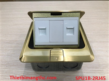 Bộ ổ cắm âm sàn SINOAMIGO SPU1B lắp (2 Mạng) màu vàng cao cấp