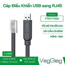 Cáp Điều Khiển USB sang RJ45 VegGieg - V-U403 cao cấp